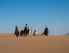 Namibia-Namibia-Wild Horses Safari